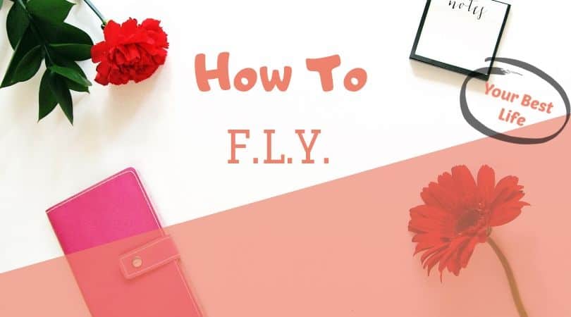 how to use the flylady system to keep your house clean